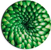 Dibond Wandcirkel - Groene Gewassen  - 20x20cm Foto op Aluminium Wandcirkel (met ophangsysteem)