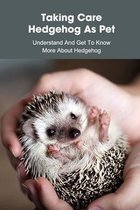 Taking Care Hedgehog As Pet: Understand And Get To Know More About Hedgehog