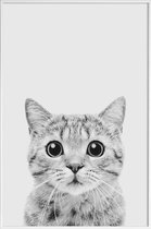 JUNIQE - Poster met kunststof lijst Kitten Classic -13x18 /Wit & Zwart
