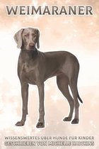 Weimaraner