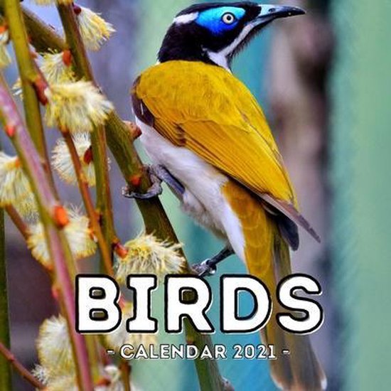 Birds Calendar 2021, Alive Jelly Press 9798740679884 Boeken