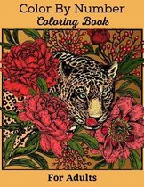 Color By Number Coloring Book For Adults