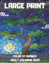 Large Print Color By Number Adult Coloring Book