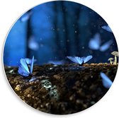 Forex Wandcirkel - Lichtgevende Blauwe Vlinders  - 30x30cm Foto op Wandcirkel (met ophangsysteem)