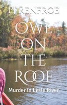 Owl on the Roof