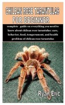 Chilean Rose Tarantulas for Beginner: Complete guide on everything you need to know about chilean rose tarantulas