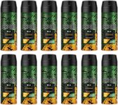 AXE Deo Spay / Bodyspray -  Wild Green Mojito & Cedarwood- JUMBOPAK - 12 x 150 ml