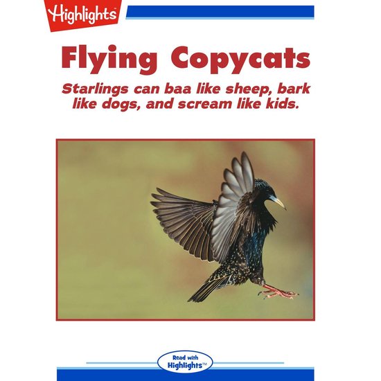 Flying Copycats - cover