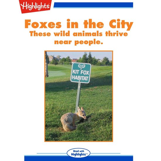 Foxes in the City - cover