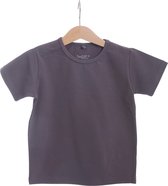 BeeLittle - T-shirt korte mouw - grijs - maat 104