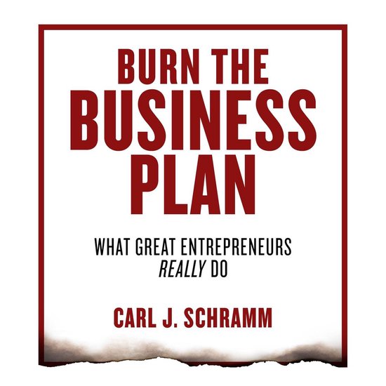 Burn the Business Plan - cover