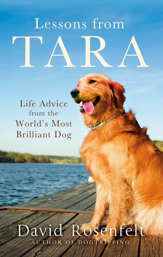 Lessons from Tara - cover