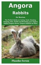 Angora Rabbit for Novices