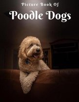 Picture of Poodle Dogs