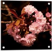 Tuinposter – Roze Bloementak - 50x50cm Foto op Tuinposter  (wanddecoratie voor buiten en binnen)