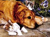 Mona Lisa Diamond painting hond & kittens 40 x 30 cm 266 gr