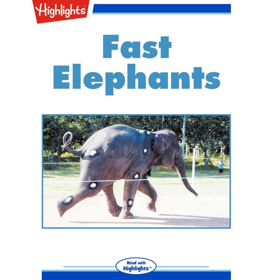 Fast Elephants - cover