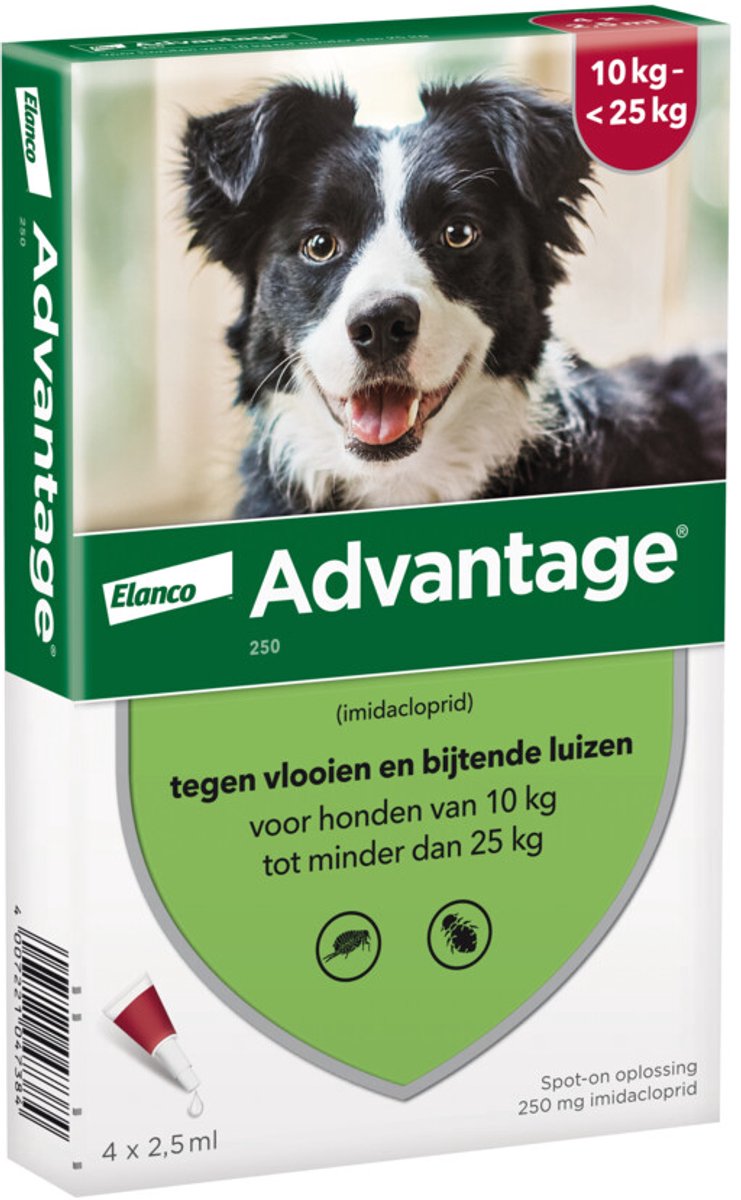 Advantage Anti Vlooiendruppels 250 Hond 10 - 25 kg - 2 x 4 pipetten - Voordeelverpakking