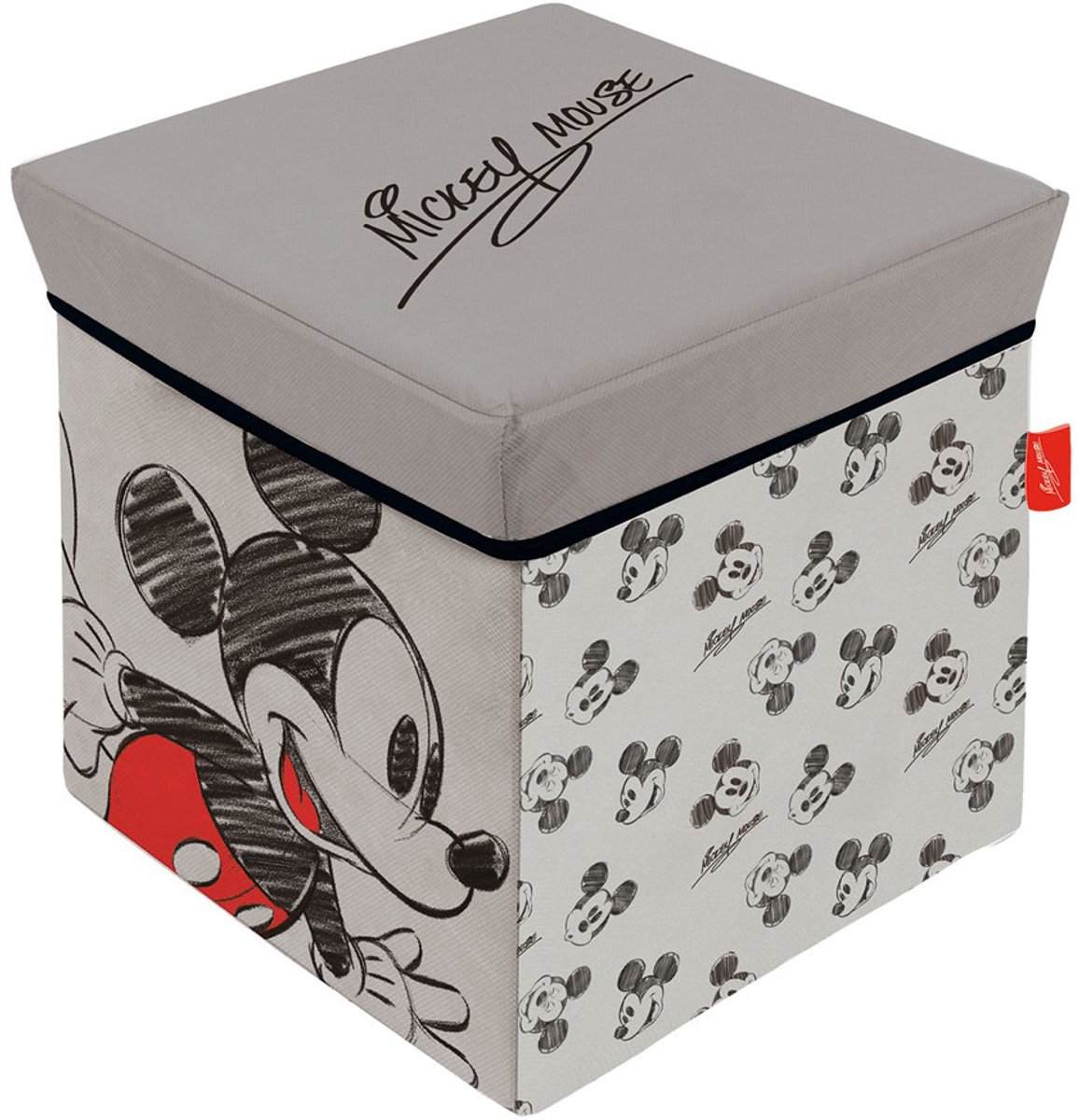 Mickey Mouse Opbergkruk 30x30x30 Cm Transparant