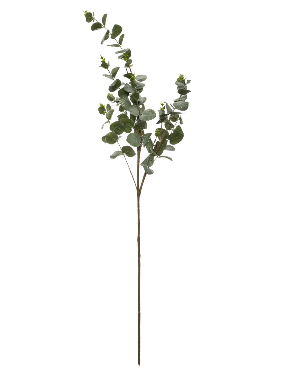 JJA - Eucalyptus tak 98 cm natuurlijke decoratie