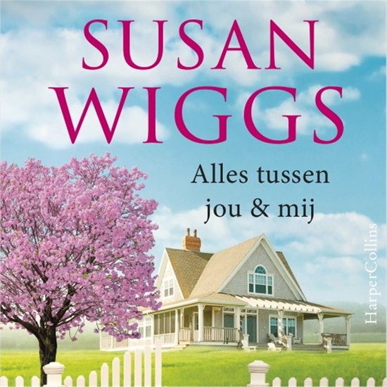 Alles tussen jou en mij - cover