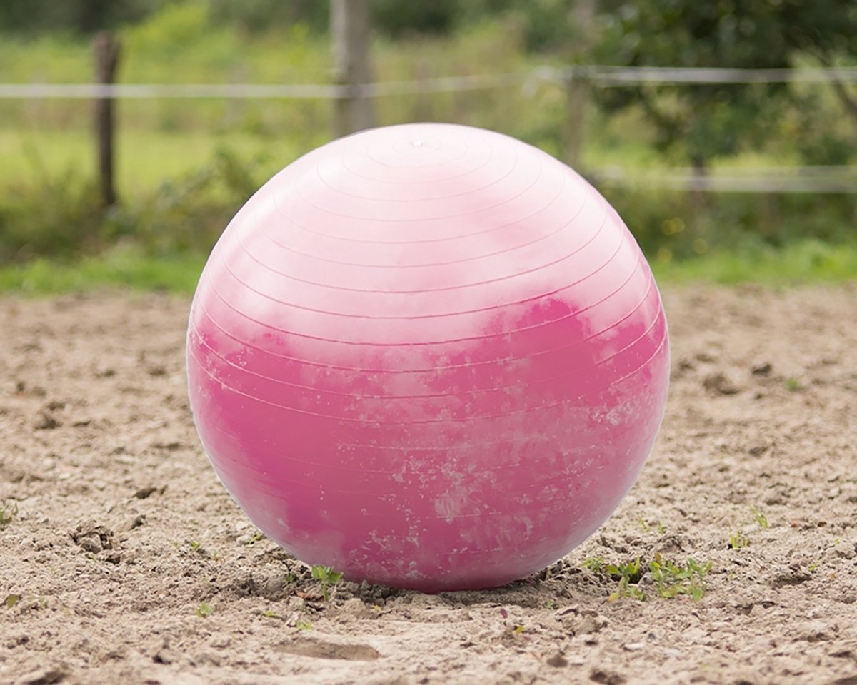 QHP Paardenvoetbal Roze - One size