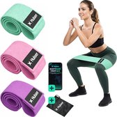 Hulser Resistance band set 3-delig - 8 tot 32 kg - 38 cm - Met digitale startgids - Roze - Weerstandsband - Fitness booty band - Stretch elastiek - Bands - Mini Power band weerstandselastiek - Oefenband
