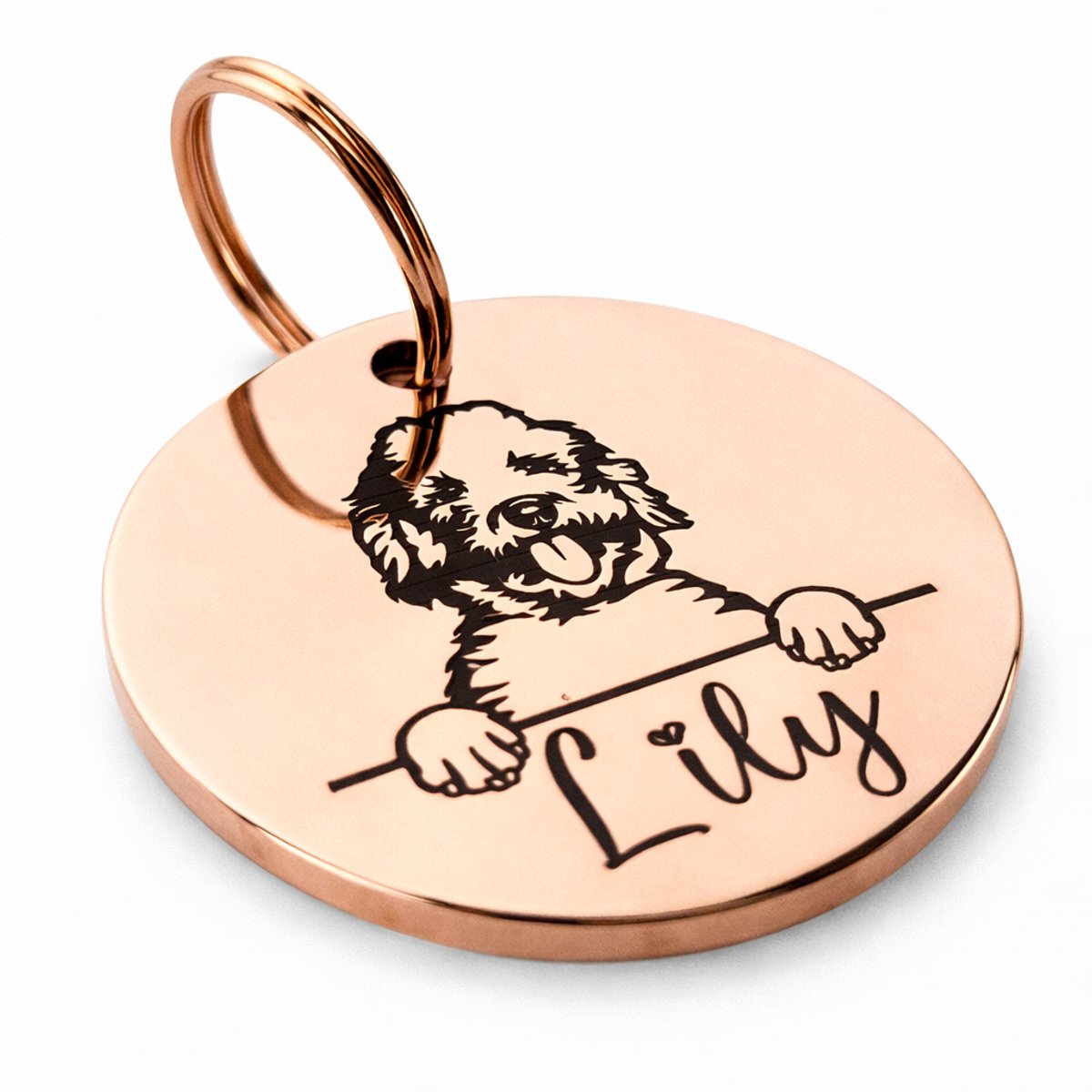 By Ollies dierenpenning - Hondenras - Rond - 30 MM - RVS - Wandelen