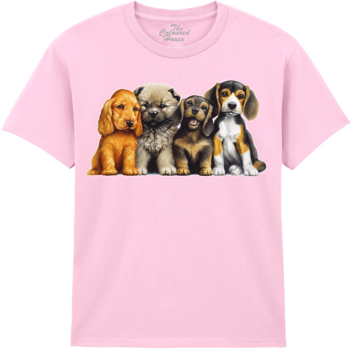 KIDS Puppies Young Dogs The Coloured House KIDS T-shirt XL