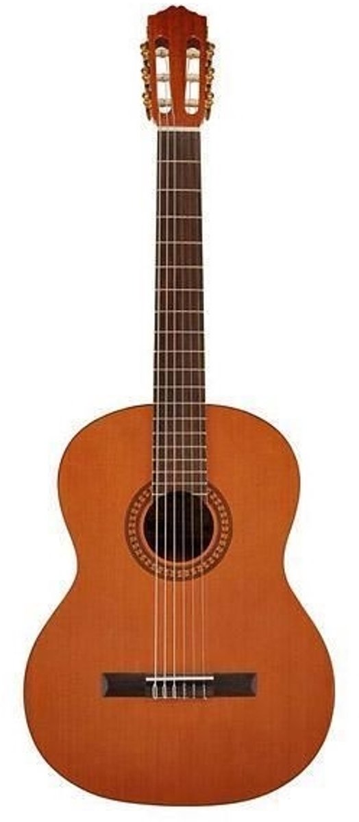 Klassieke gitaar 4/4 Salvador Cortez Solid Top Artist Series CC-22