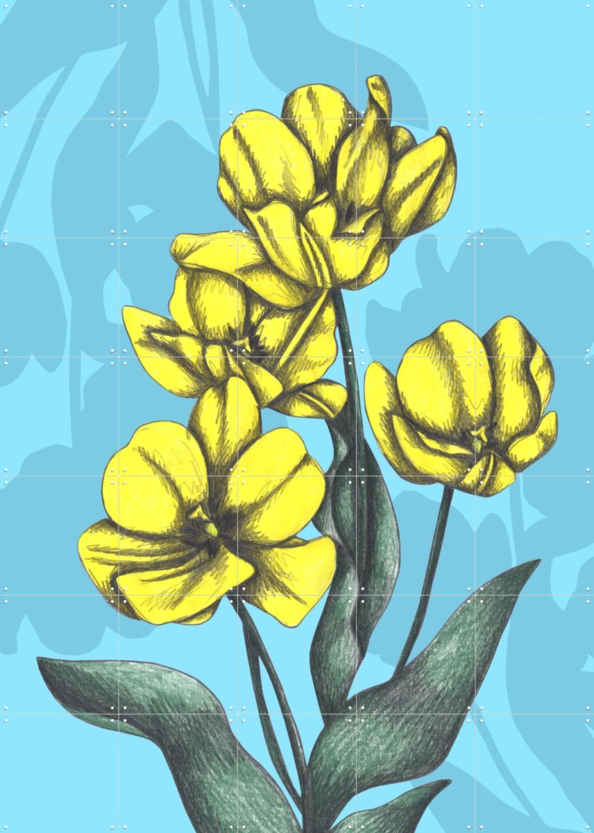 IXXI Yellow Tulips, Cecilia Battaini - 100 x 140 cm - Gratis ophangtool - Grote wanddecoratie en posters - Grafisch Ontwerp, Digitale Kunst