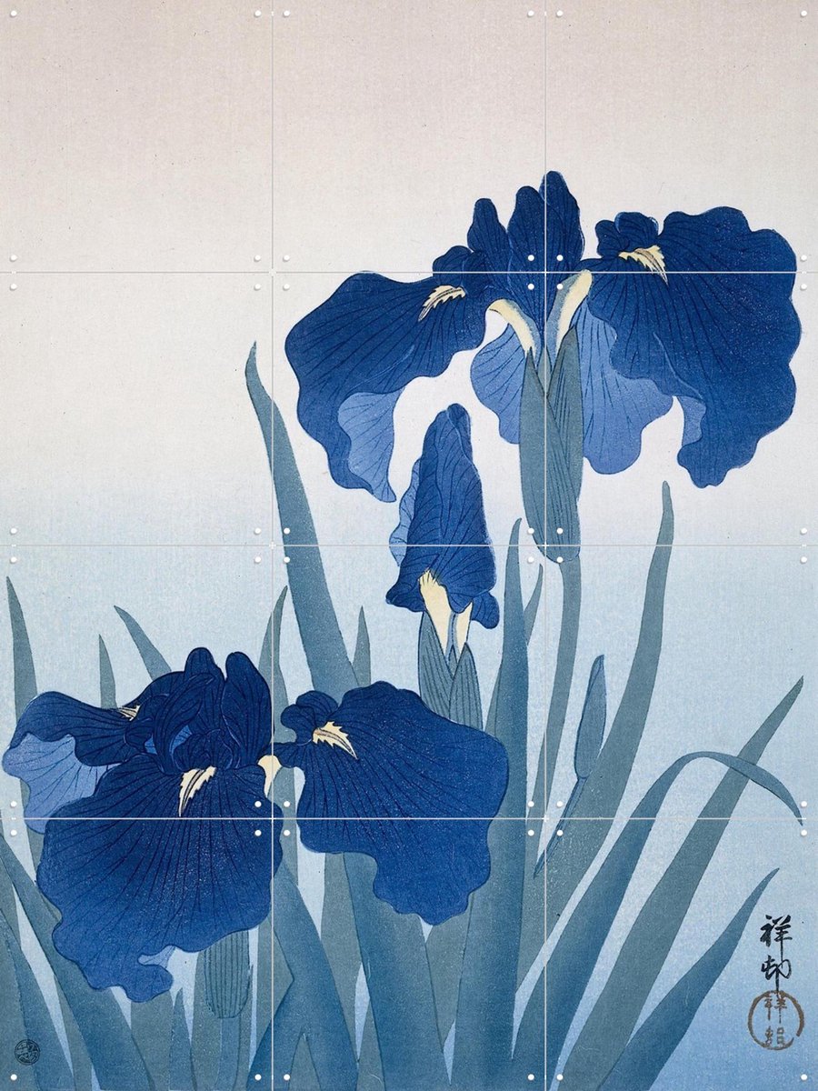 IXXI Irisis, Ohara Koson & Rijksmuseum - 60 x 80 cm - Gratis ophangtool - Grote wanddecoratie en posters - Houtsnede, Ukiyo-e, Klassiek, Woonkamer