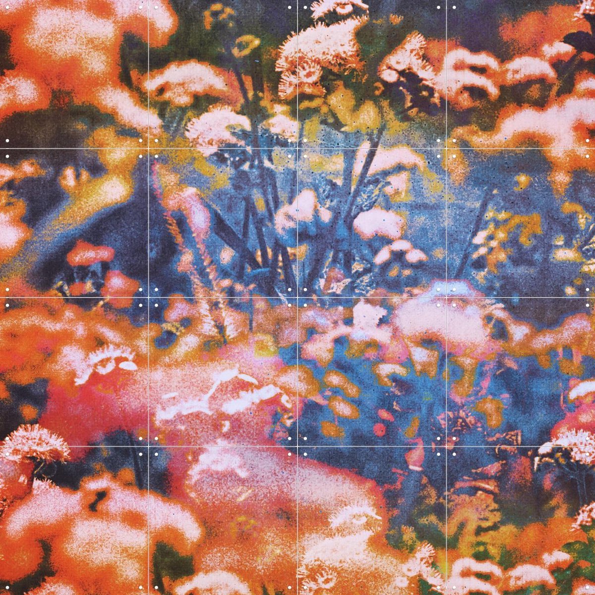 IXXI Earthly Enchantment, Amber Lauder - 80 x 80 cm - Gratis ophangtool - Grote wanddecoratie en posters - Kleurrijk, Impressionisme, Abstract