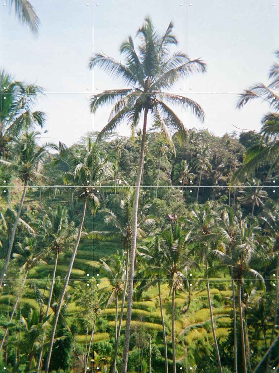 IXXI Ubud Ricefield Terrace, We Like Bali - 60 x 80 cm - Gratis ophangtool - Grote wanddecoratie en posters - Naturalisme, Kleurrijk, Fotografie