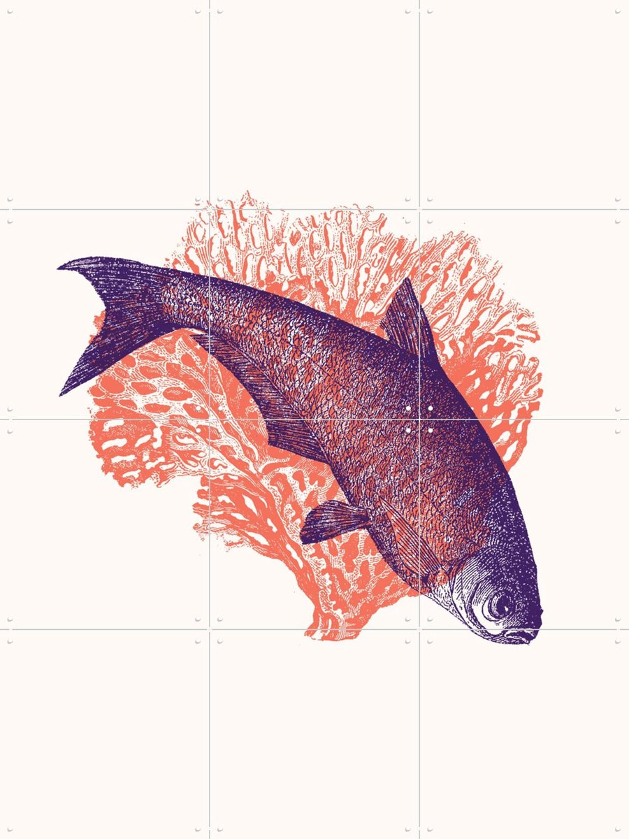 IXXI Curve, Florent Bodart - 60 x 80 cm - Gratis ophangtool - Grote wanddecoratie en posters - Illustraties, Houtsnede, Grafisch Ontwerp, Woonkamer