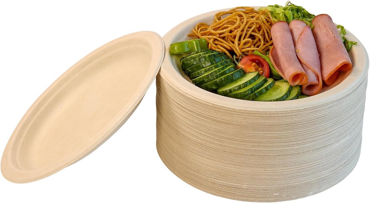 120 Composteerbare Papieren Bordjes van Bagasse - 15,2 cm - Bruin