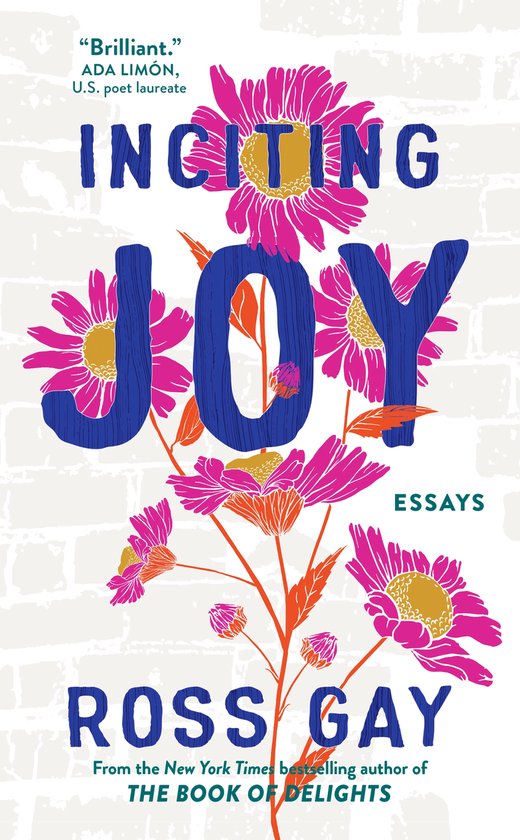 Inciting Joy - cover