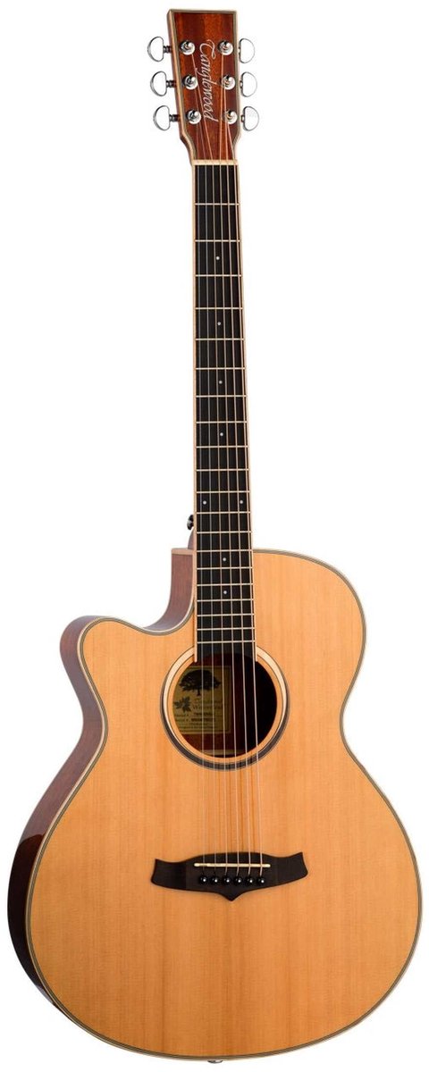 Tanglewood Winterleaf Cedar 4 CE NA LH Linkshandige Elektro-Akoestische Gitaar Solid Cedar Natural Gloss