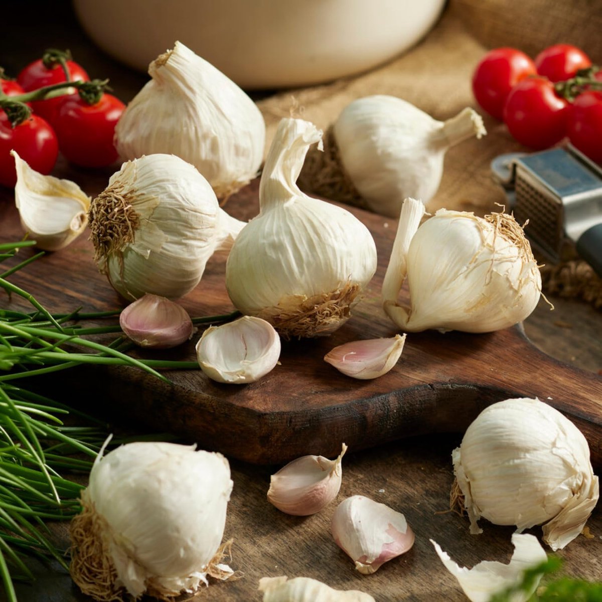 Knoflook Bollen - Plantknoflook - Morado - Knoflookbollen - 500 gram - Wit - Plant voor moestuin