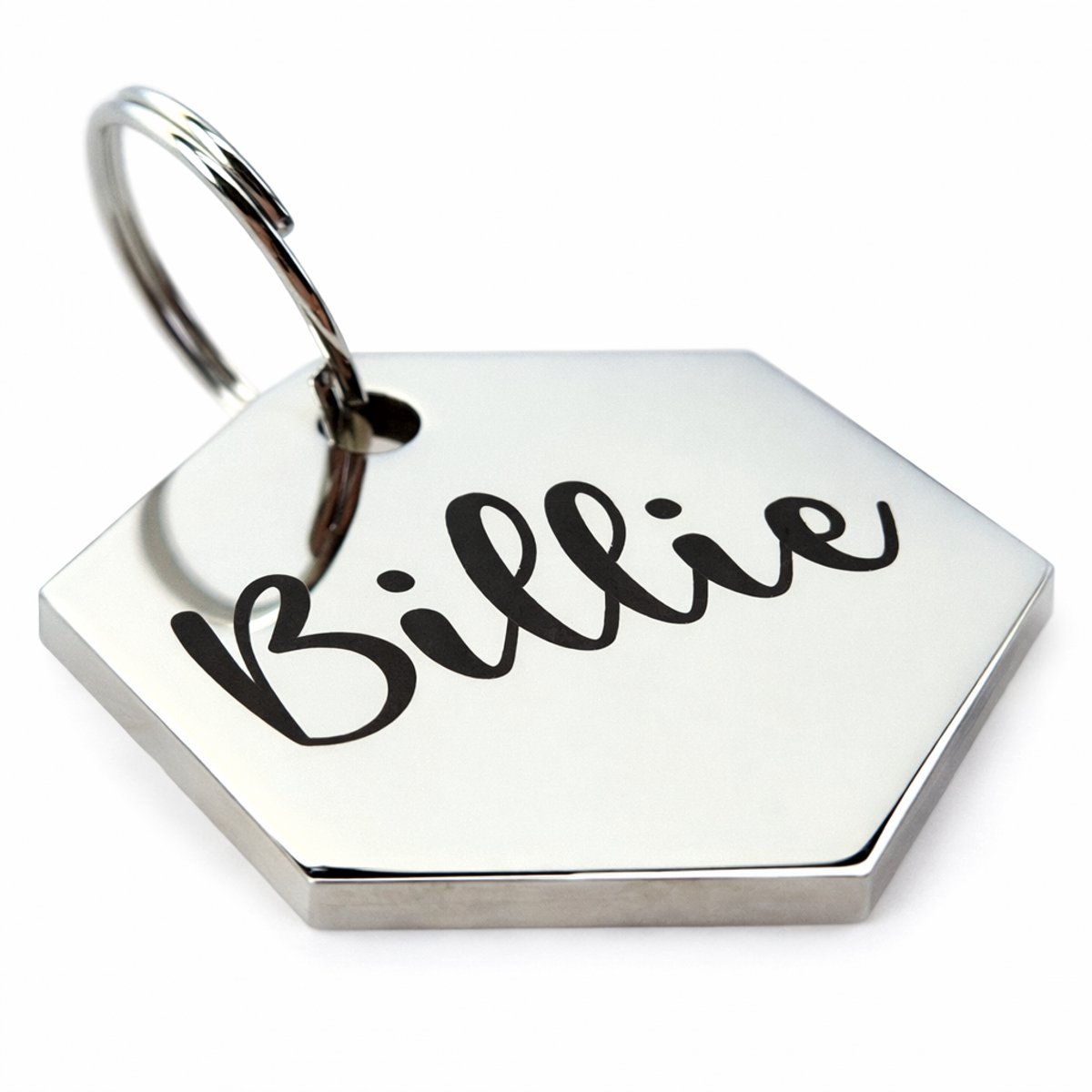 By Ollies dierenpenning Zilver - maat S 17x19mm - RVS - wandelen - hondenpenning