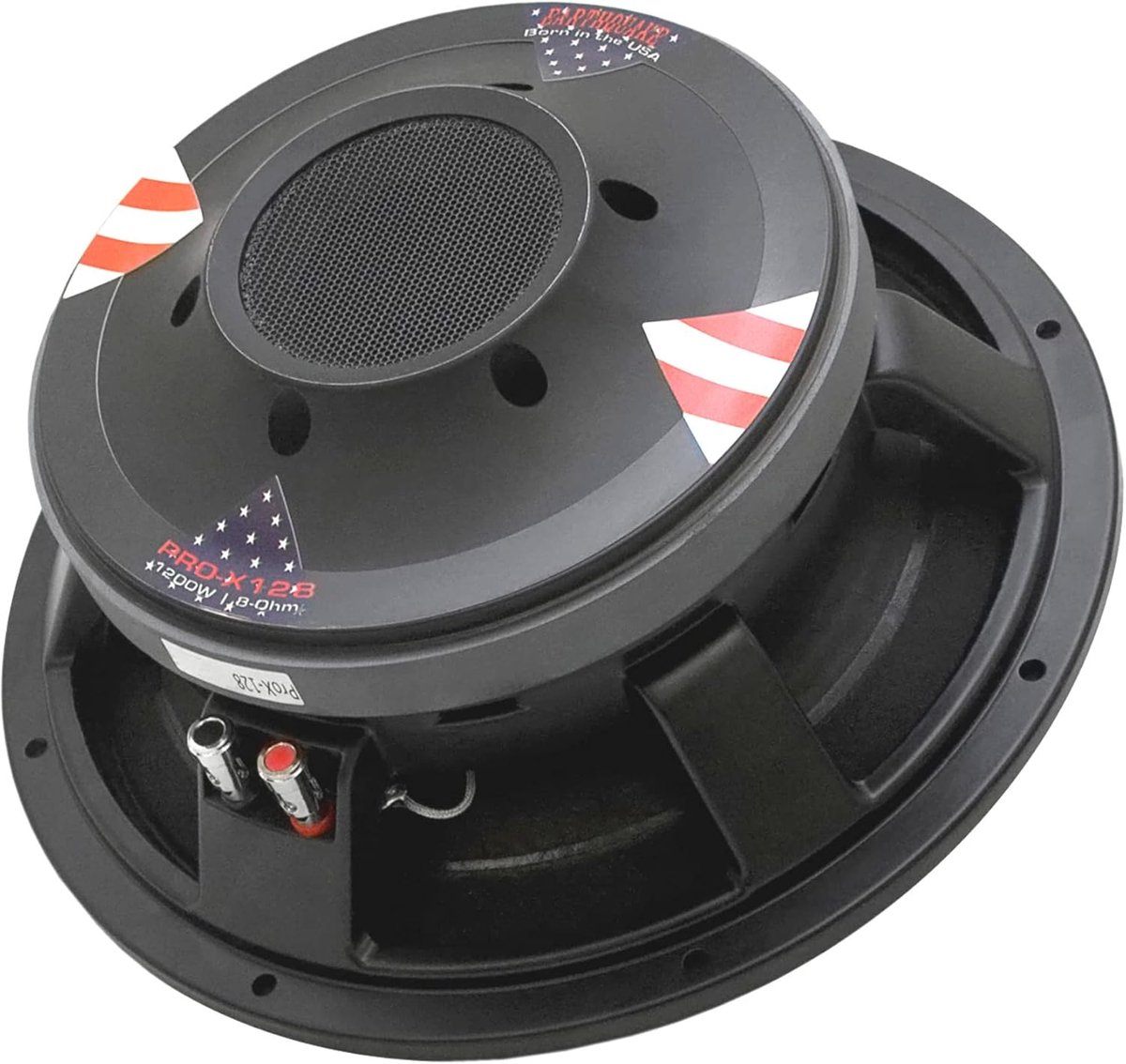 Professionele subwoofer 30,5 cm - Hoge efficiëntie en prestaties