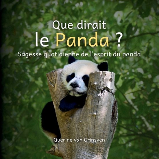 Que Dirait ... ?- Que dirait le Panda ? - cover