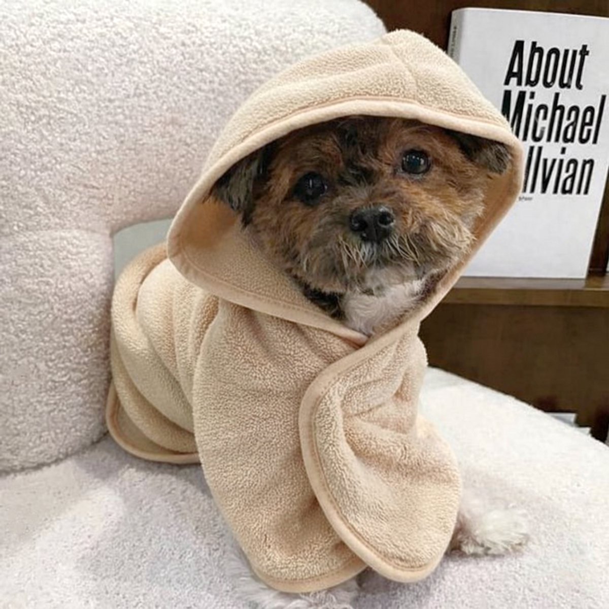 Ultiluxe® Hondenbadjas - Maat S - Beige - Sneldrogend, zacht, absorberend - Microvezel honden badjas - Handdoek na een bad - Verstelbaar met capuchon - Droog maken hond - Ochtendjas met klittenband - Huisdieren