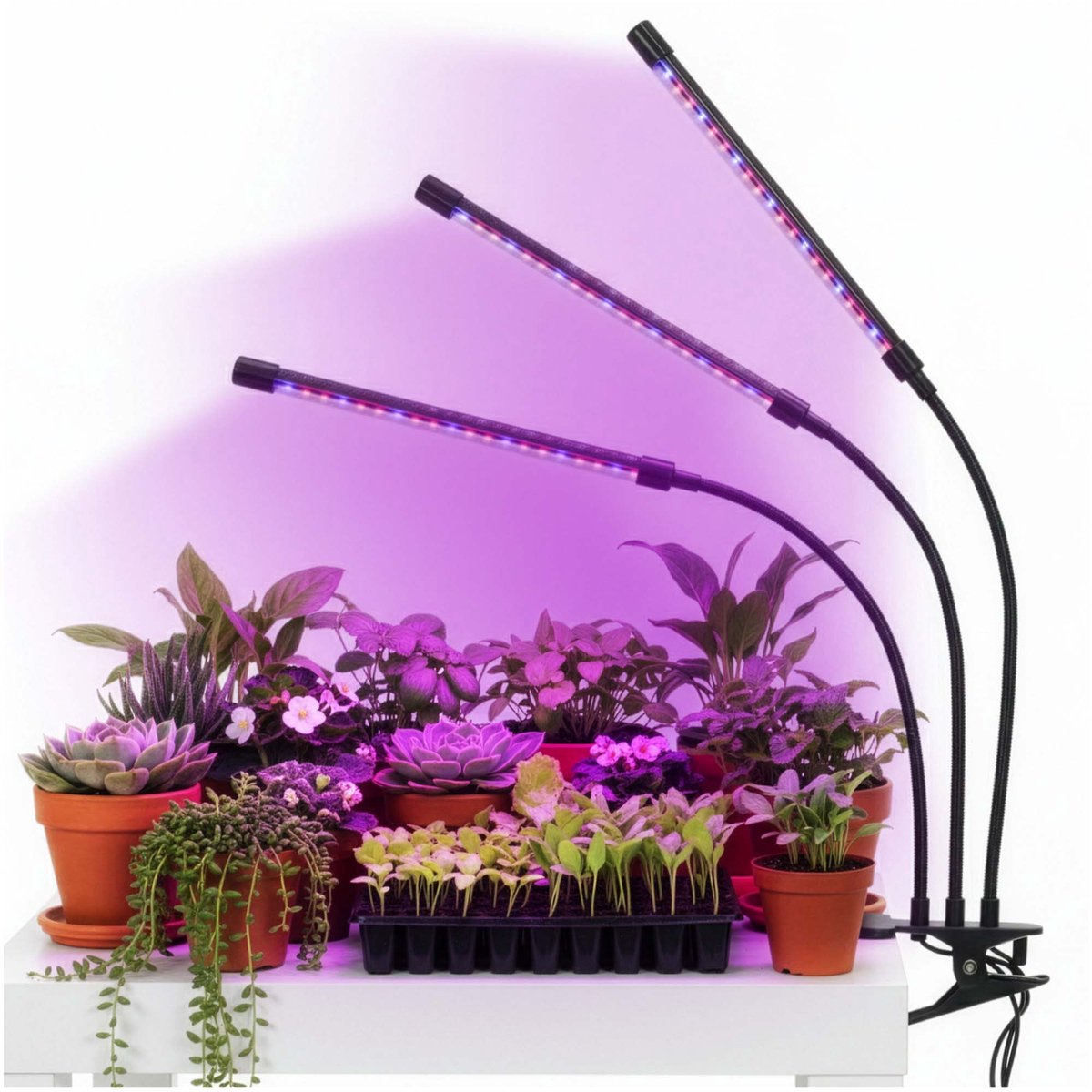 Springos Kweeklamp - Led Voor Planten - Groeilamp - Grow Light - Bloeilamp - Plantenverlichting - 3 Panelen - Met TImer - 60 Led - USB