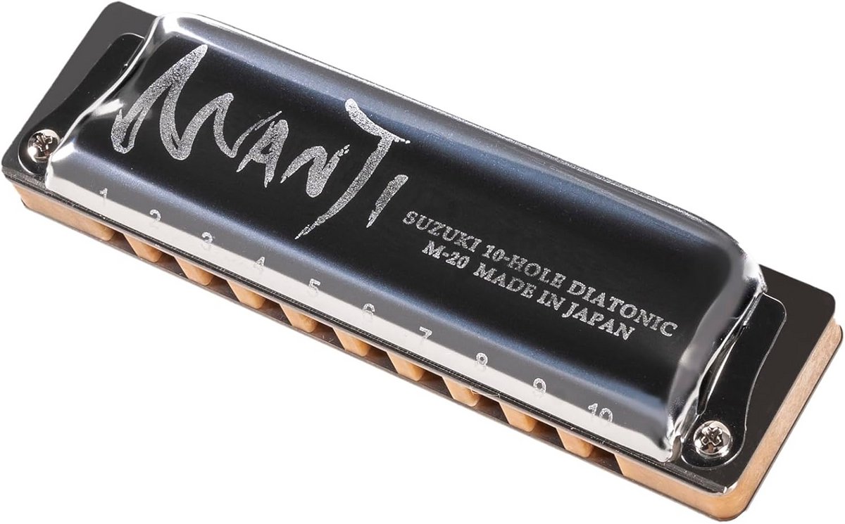 10-Gats Mondharmonica met Hout- en Harslichaam voor Warm Geluid