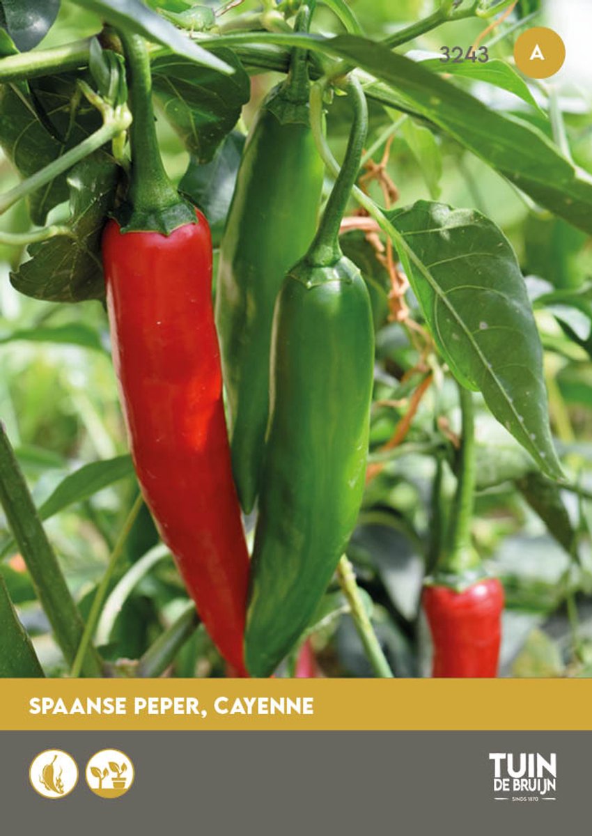Spaanse peper Cayenne zaden - Tuin de Bruijn® zaden -