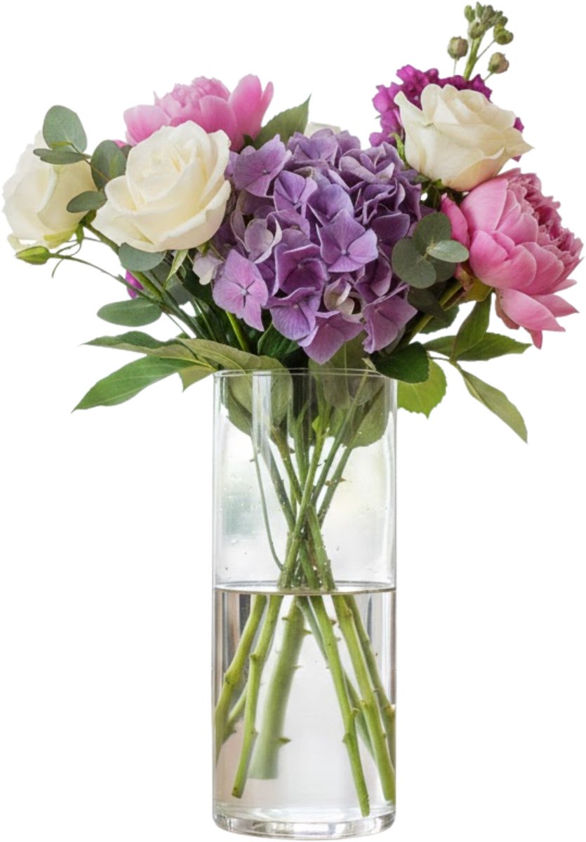 Mica Decorations Vaas - cilinder - helder glas - D9 x H24 cm - Bloemenvaas Transparant