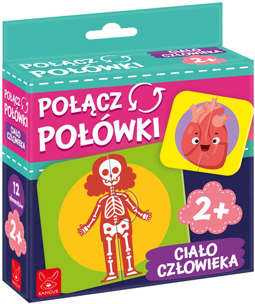 Verbind de helften van het menselijk lichaam - puzzel