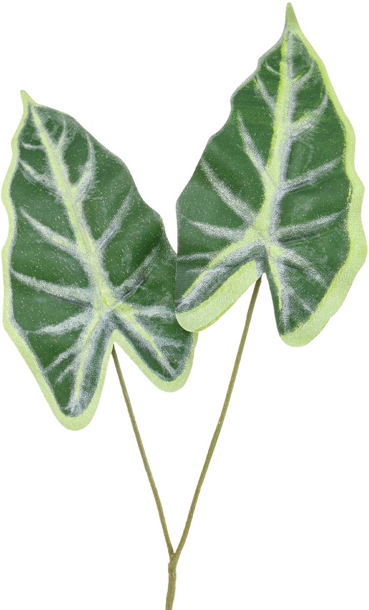 Alocasia Olifant Oorpijl Blad Kunstplanten Groen 55cm