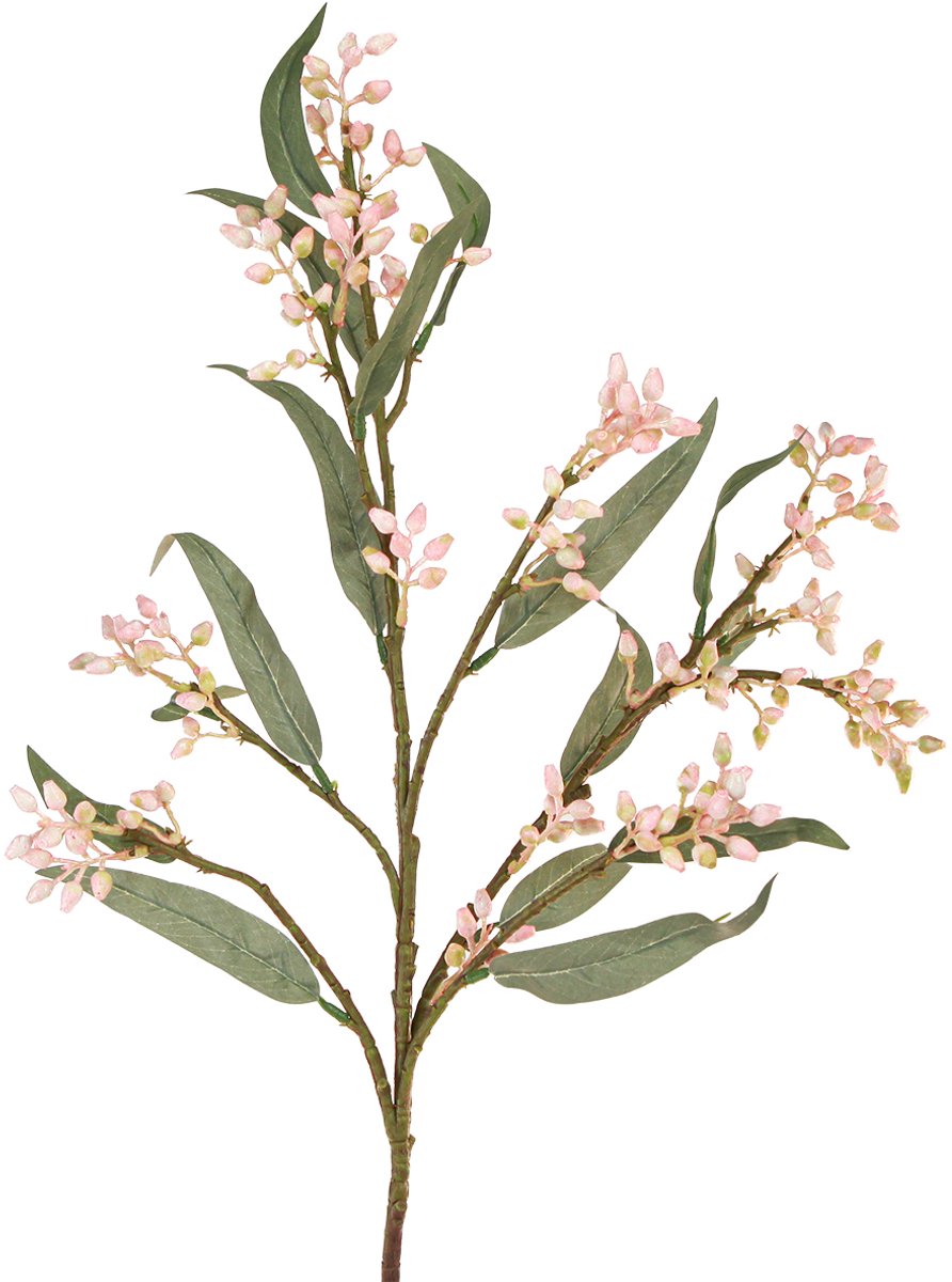 Viana Eucalyptus Kunstmatige Tak Bladeren Knoppen 75cm 2st, 2 Stück groente